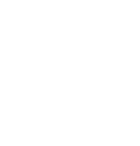 DEVEST